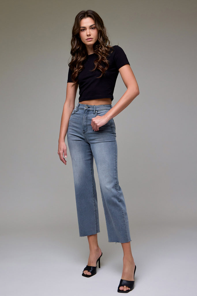 [TRACEY] Smoke Wash Stretch High Rise Straight