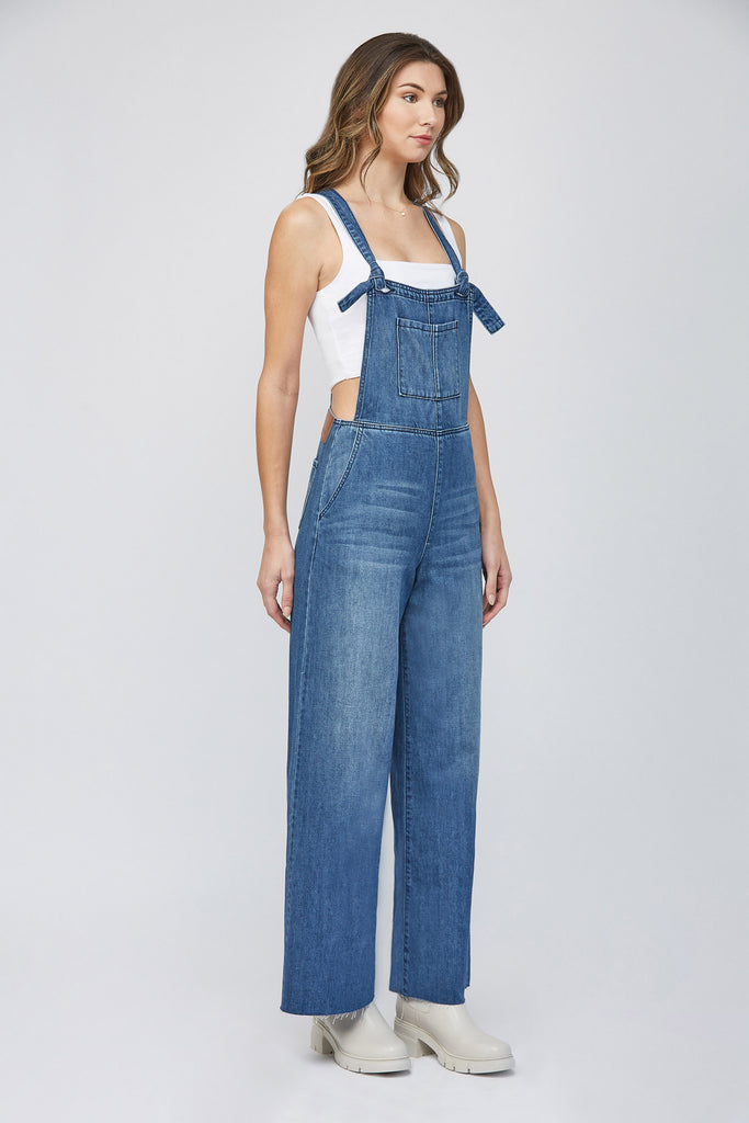 [DYLAN] DARK WASH CLASSIC SUPER SOFT STRAIGHT OVERALL